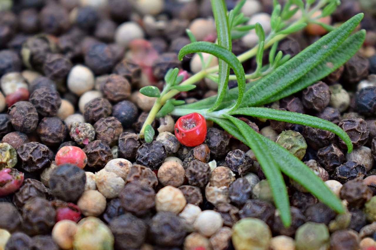 where-does-pepper-come-from-black-pepper-plant-history-and-health